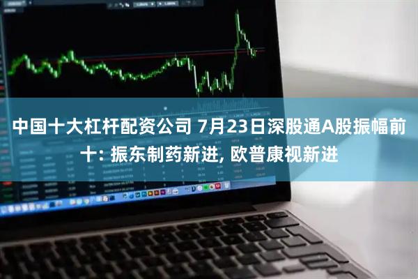 中国十大杠杆配资公司 7月23日深股通A股振幅前十: 振东制药新进, 欧普康视新进