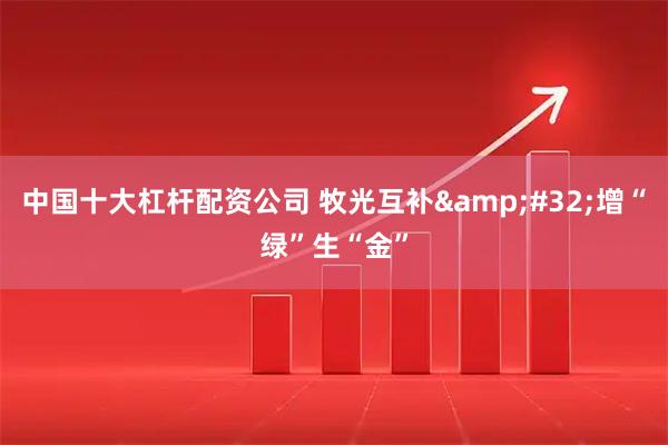 中国十大杠杆配资公司 牧光互补 增“绿”生“金”